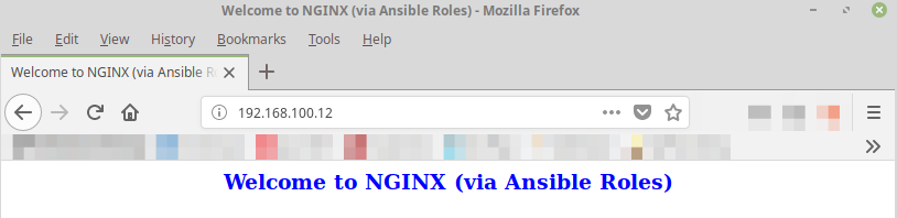 Ansible Browser (2)